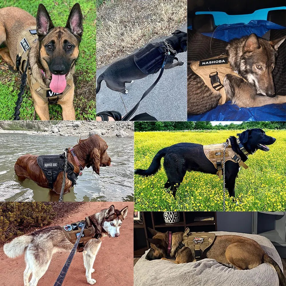 K9 Harness – Tactical Dog Harness for Dogs - Pawtique