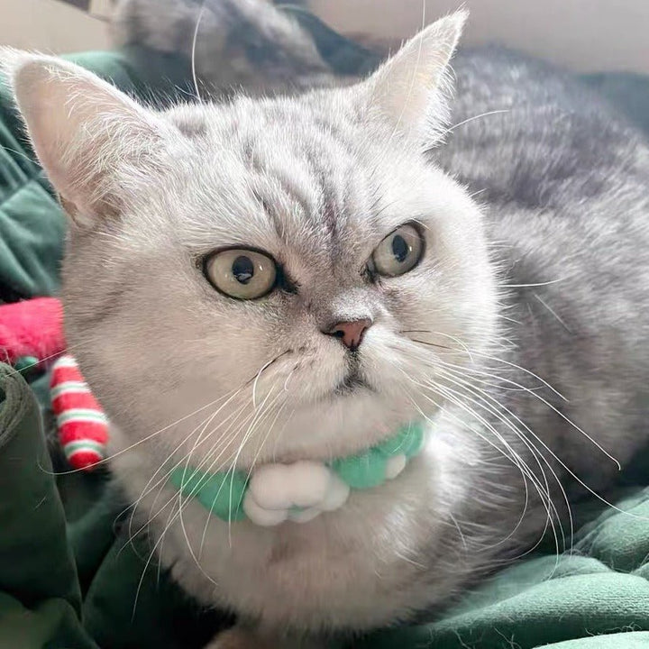 Knitted Flower Cat Dog Collar - Pawtique