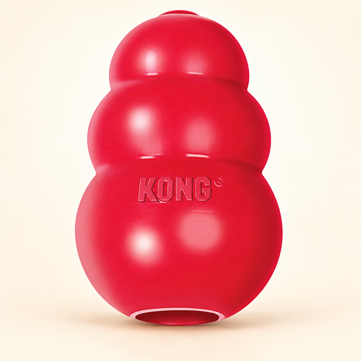KONG Classic dog toy hero