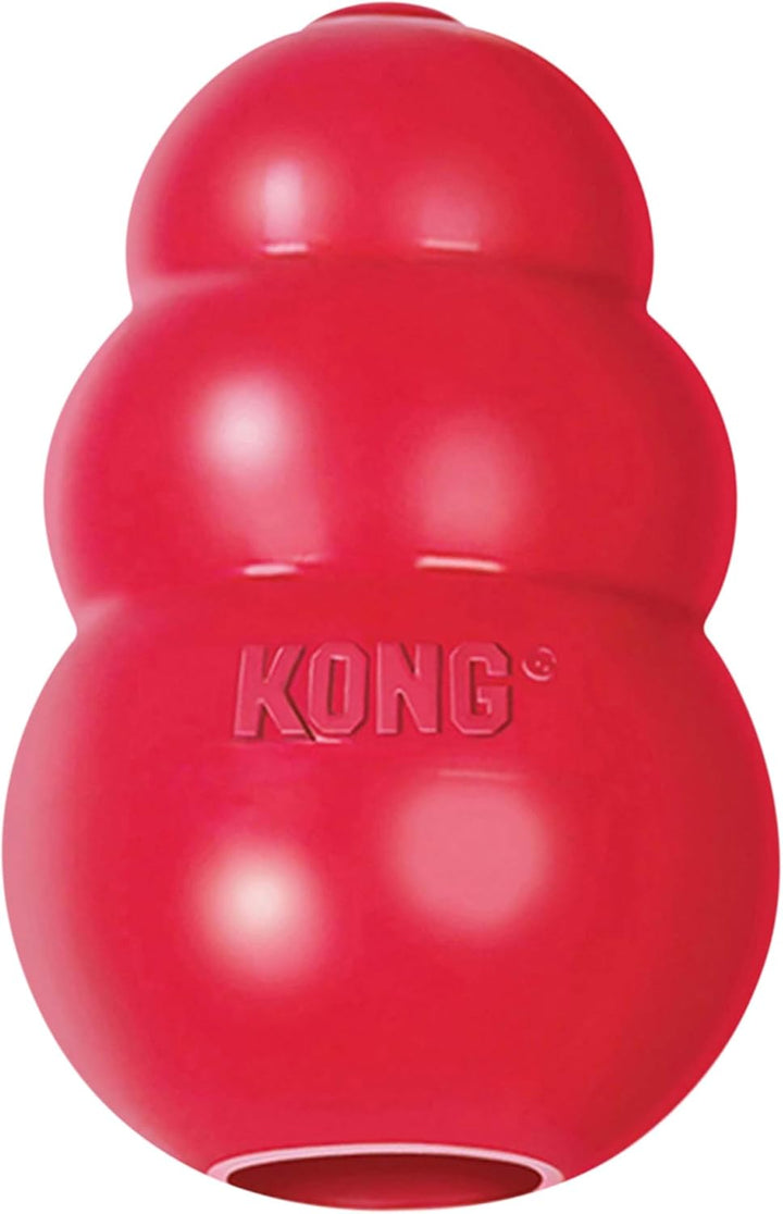 KONG Classic Treat - Fill Chew Ball - Pawtique