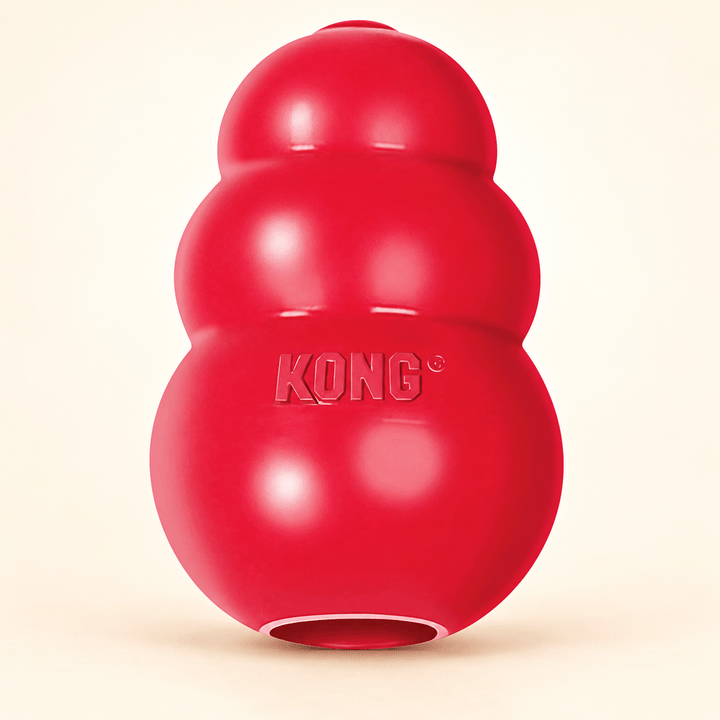 KONG Classic Treat-Fill Dog Toy - Pawtique
