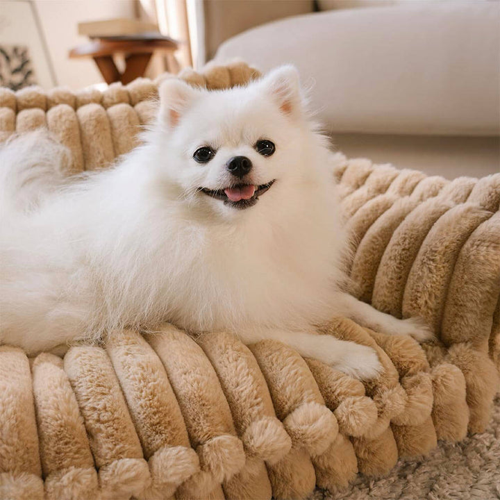 Large Washable Fluffy Orthopedic Soft Dog Pillow Dog Sofa Bed-Snoozy Dream - Pawtique