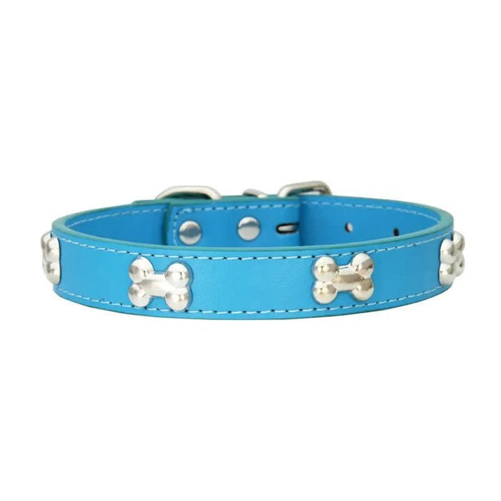 Leather Dog Collar with Bone Decoration - Pawtique