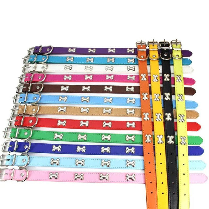 Leather Dog Collar with Bone Decoration - Pawtique