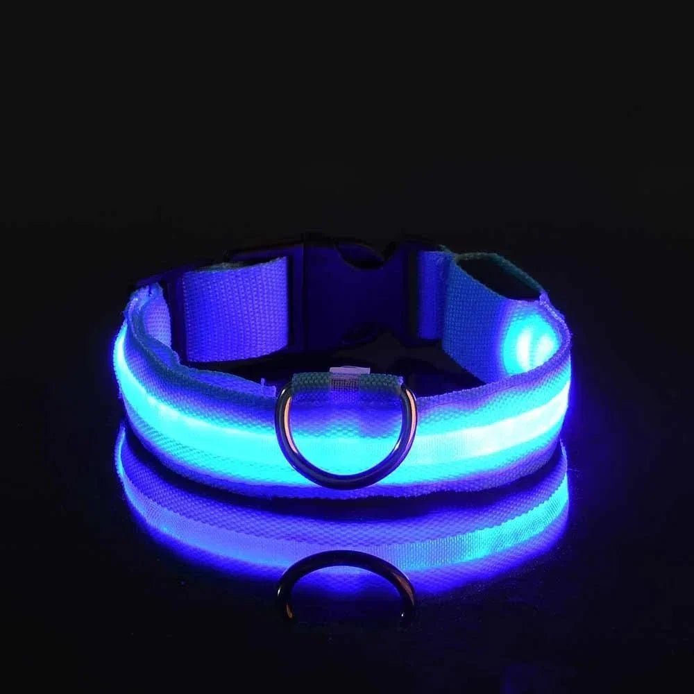 LED Collar for Dogs - Pawtique