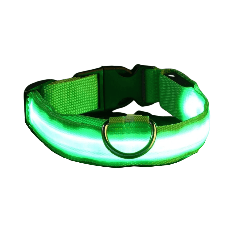 LED Collar for Dogs - Pawtique