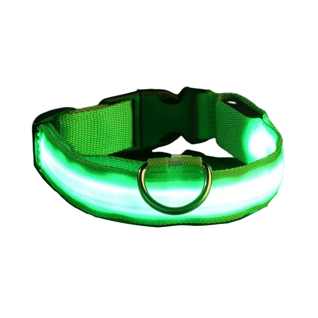 LED Collar for Dogs - Pawtique