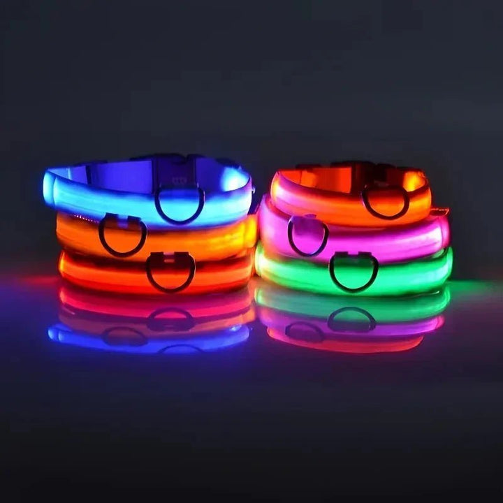 LED Collar for Dogs - Pawtique