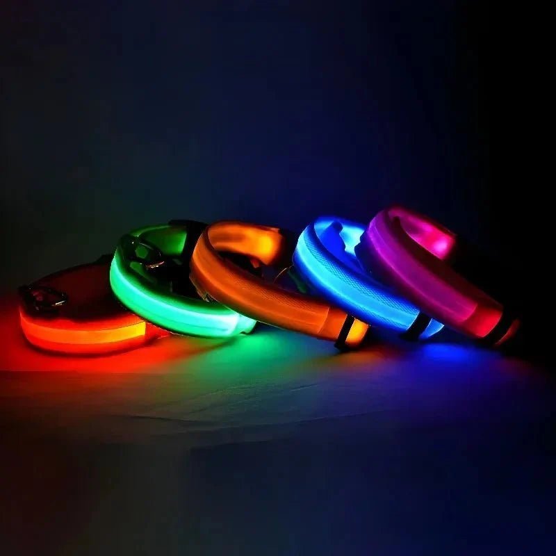 LED Collar for Dogs - Pawtique