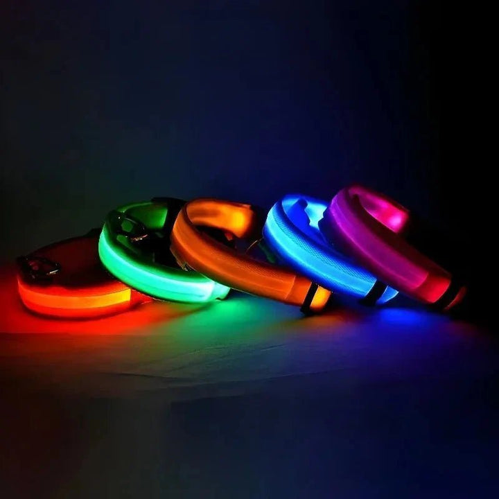 LED Collar for Dogs - Pawtique