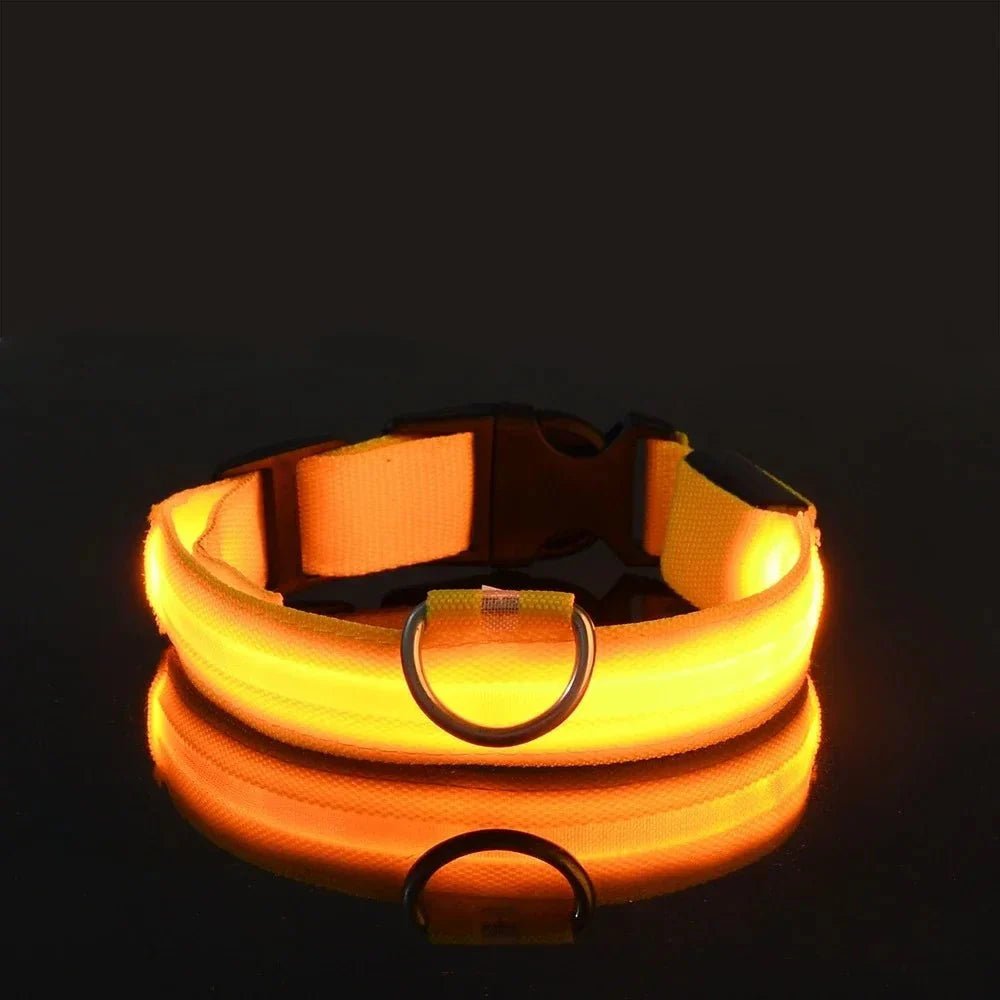 LED Collar for Dogs - Pawtique