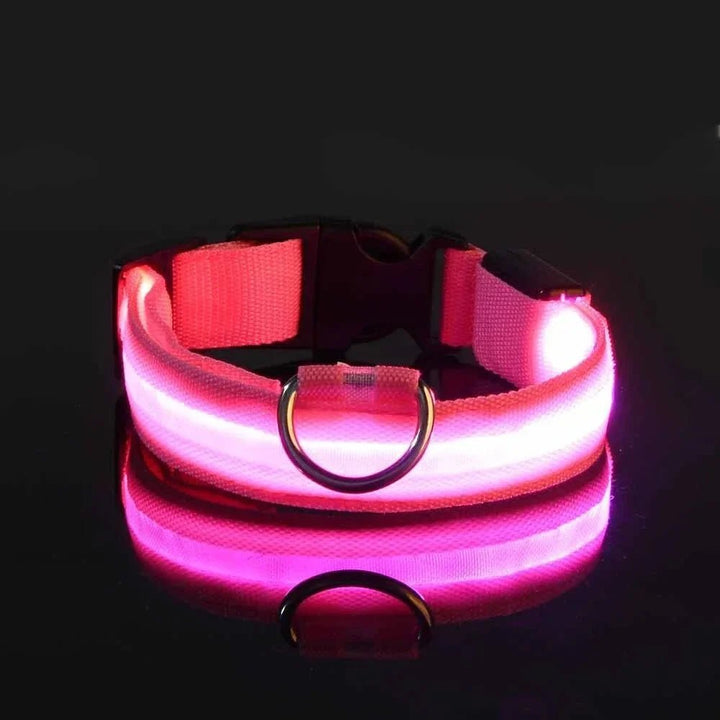 LED Collar for Dogs - Pawtique