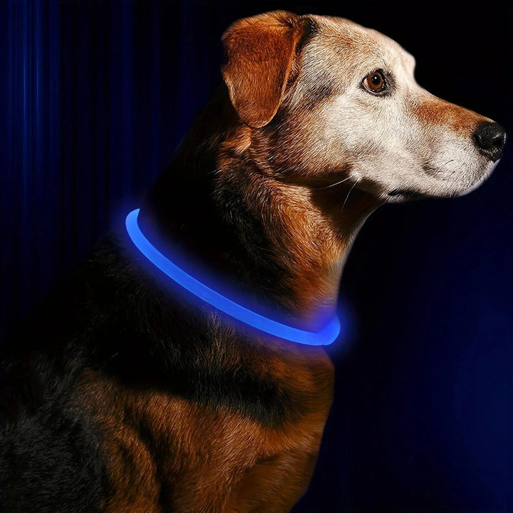LED Collar Rechargeable - Pawtique