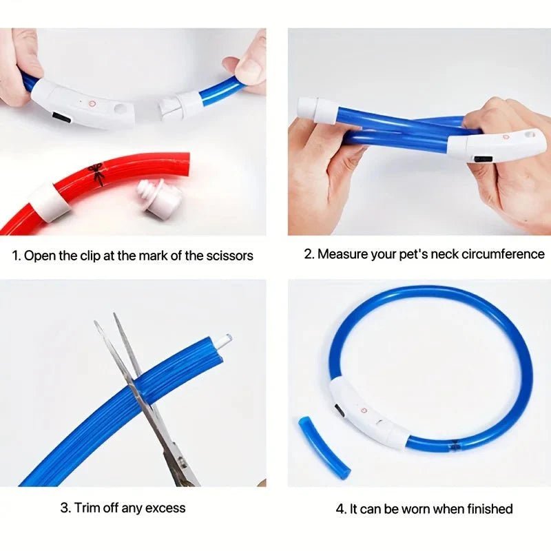 LED Collar Rechargeable - Pawtique