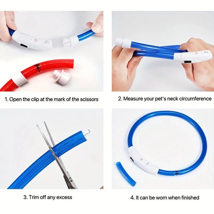 LED Collar Rechargeable - Pawtique