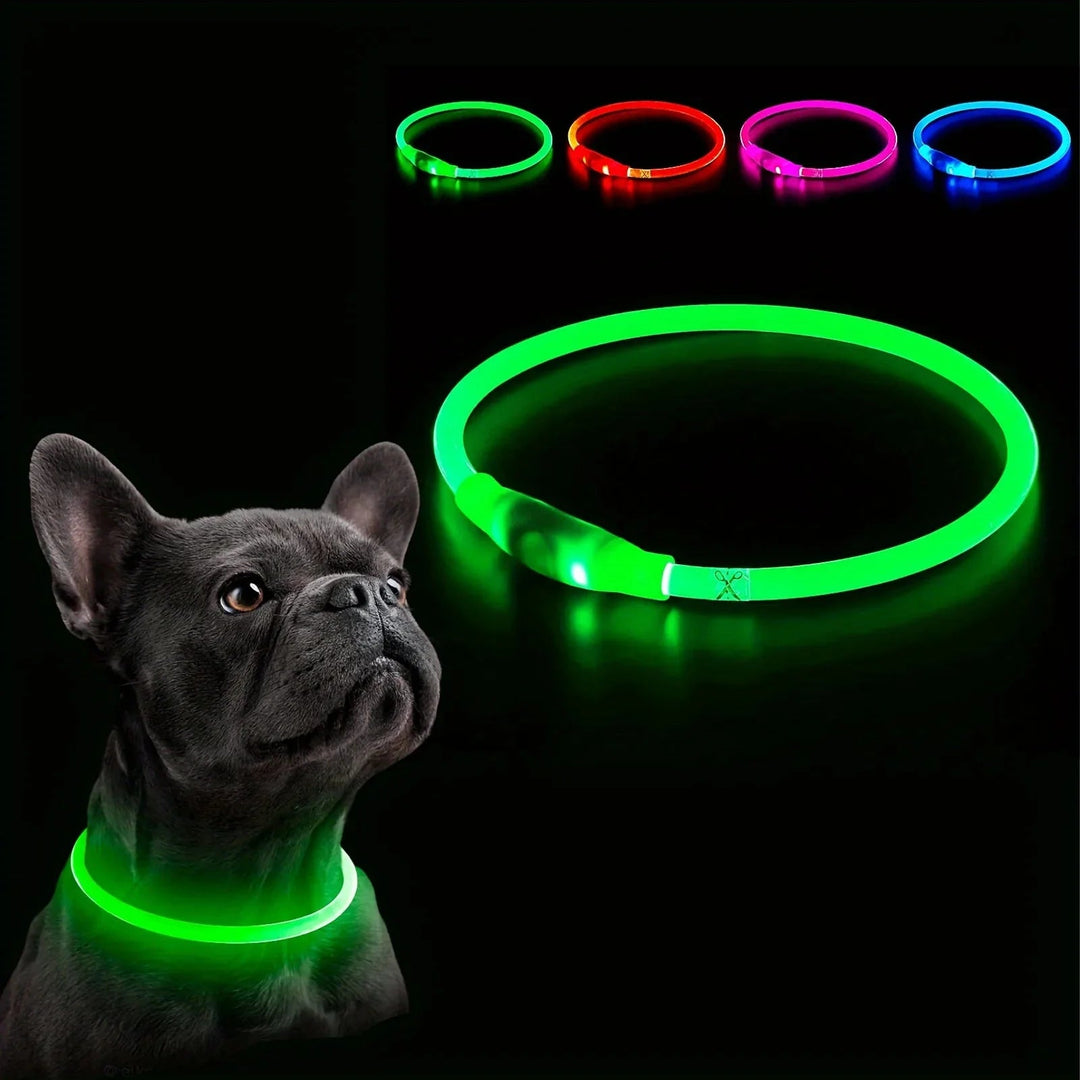 LED Collar Rechargeable - Pawtique