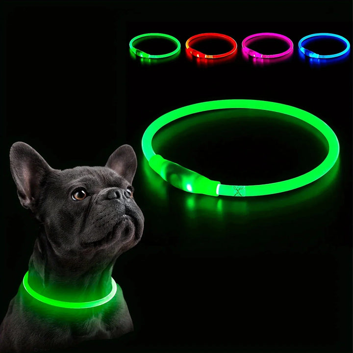 LED Collar Rechargeable - Pawtique