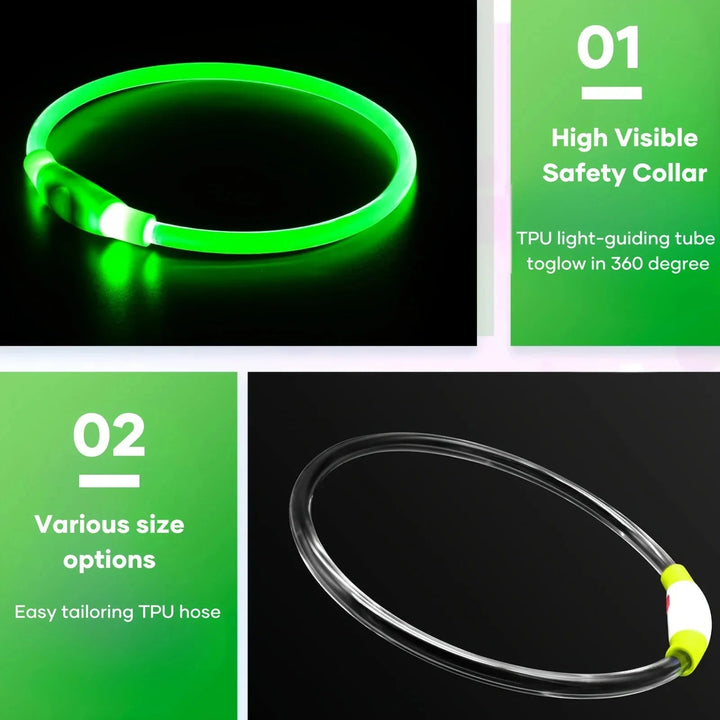 LED Collar Rechargeable - Pawtique