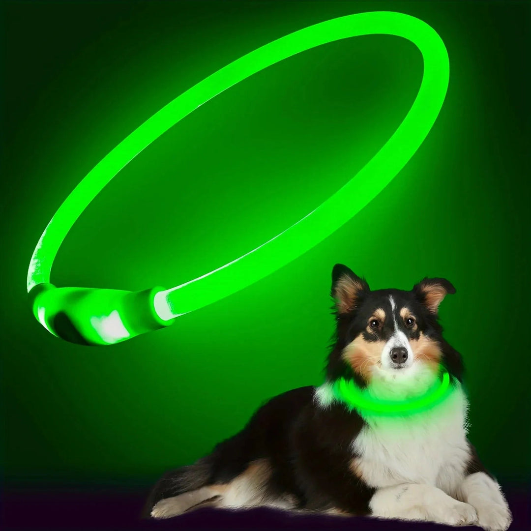 LED Collar Rechargeable - Pawtique