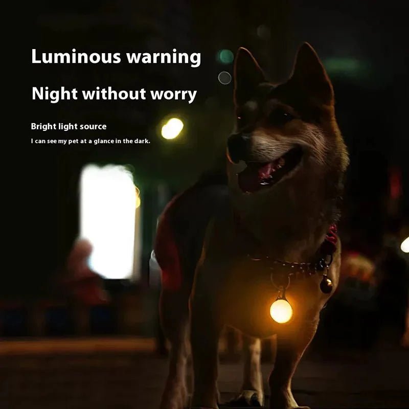 LED Light Collar Pendant – Safety Light - Pawtique