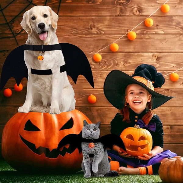 LKEX Dog Bat Wings, Halloween Bat Costume for Medium Large Dogs Funny Bat Wing Dog Clothes with Leads and Pumpkin Bells Puppy Bat Dress Up Halloween Decorations Outfits Cosplay Apparel (Large) - Pawtique