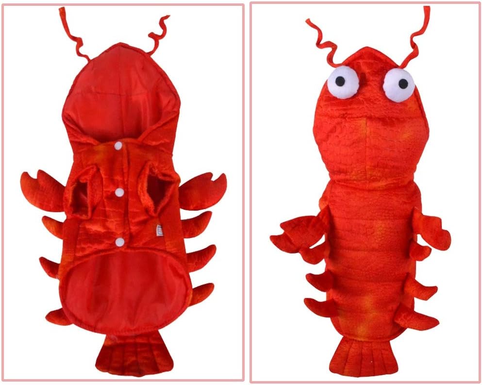 Lobster Dog Costume - Halloween Lobster Costume for Dogs, Halloween Costumes for Small Medium Large Dogs Lobster Pet Halloween Costumes Dog Cosplay Costume for Christmas Special Events Photo Props - Pawtique