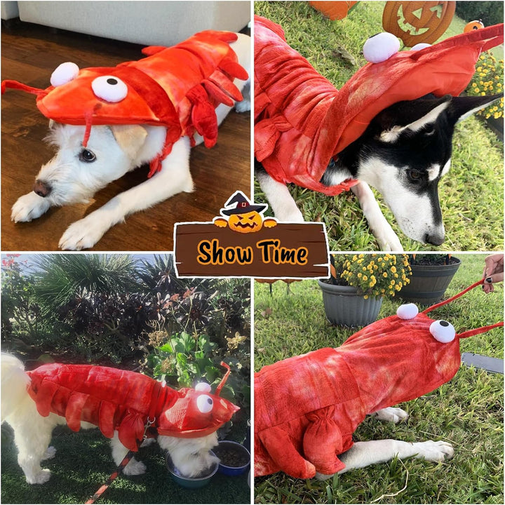 Lobster Dog Costume - Halloween Lobster Costume for Dogs, Halloween Costumes for Small Medium Large Dogs Lobster Pet Halloween Costumes Dog Cosplay Costume for Christmas Special Events Photo Props - Pawtique