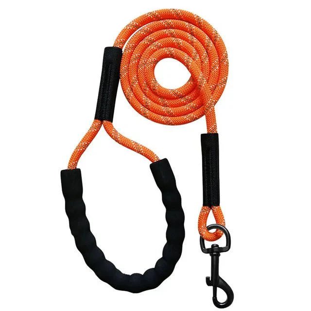 Long Reflective Training Line - Pawtique