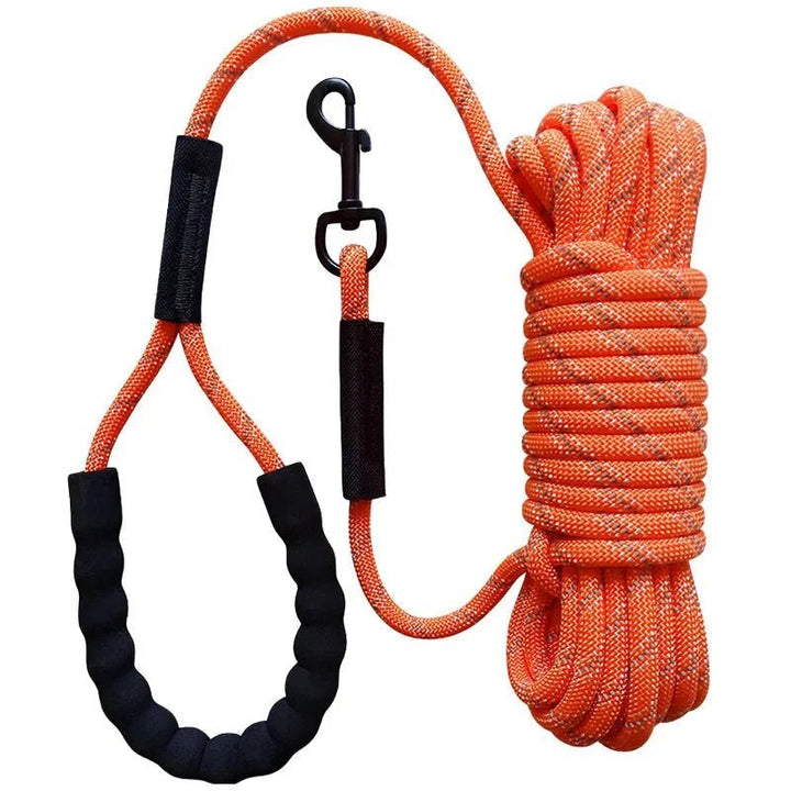 Long Reflective Training Line - Pawtique