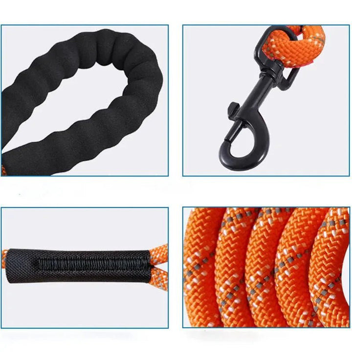 Long Reflective Training Line - Pawtique