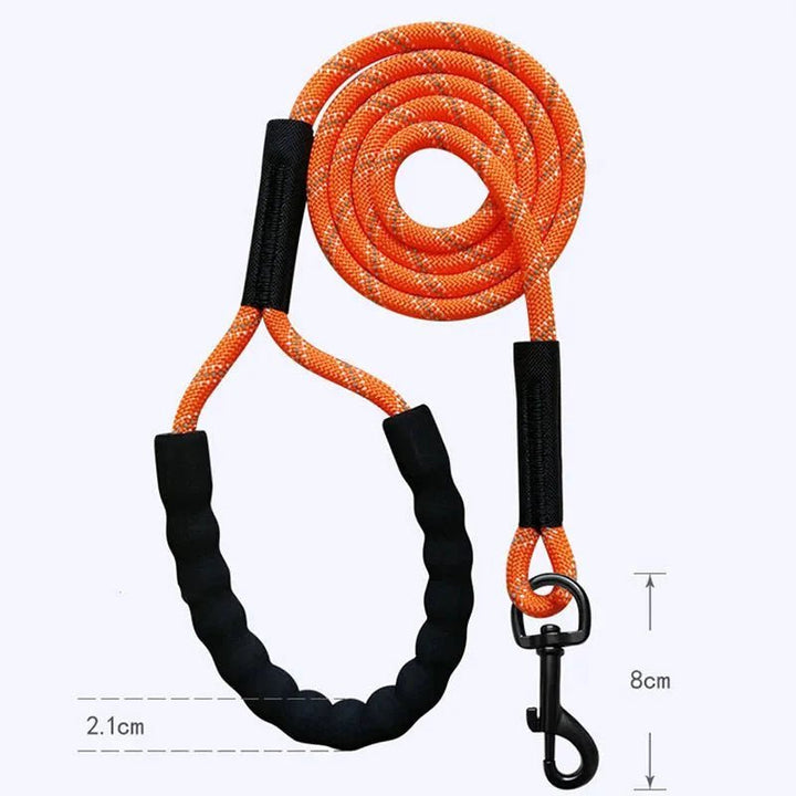 Long Reflective Training Line - Pawtique