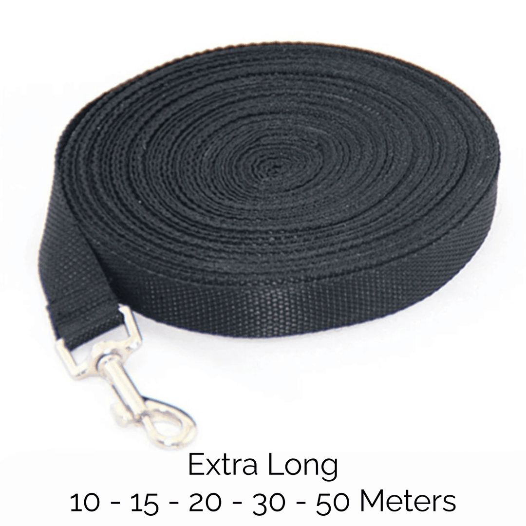 Long Training Leash for Dogs - Pawtique