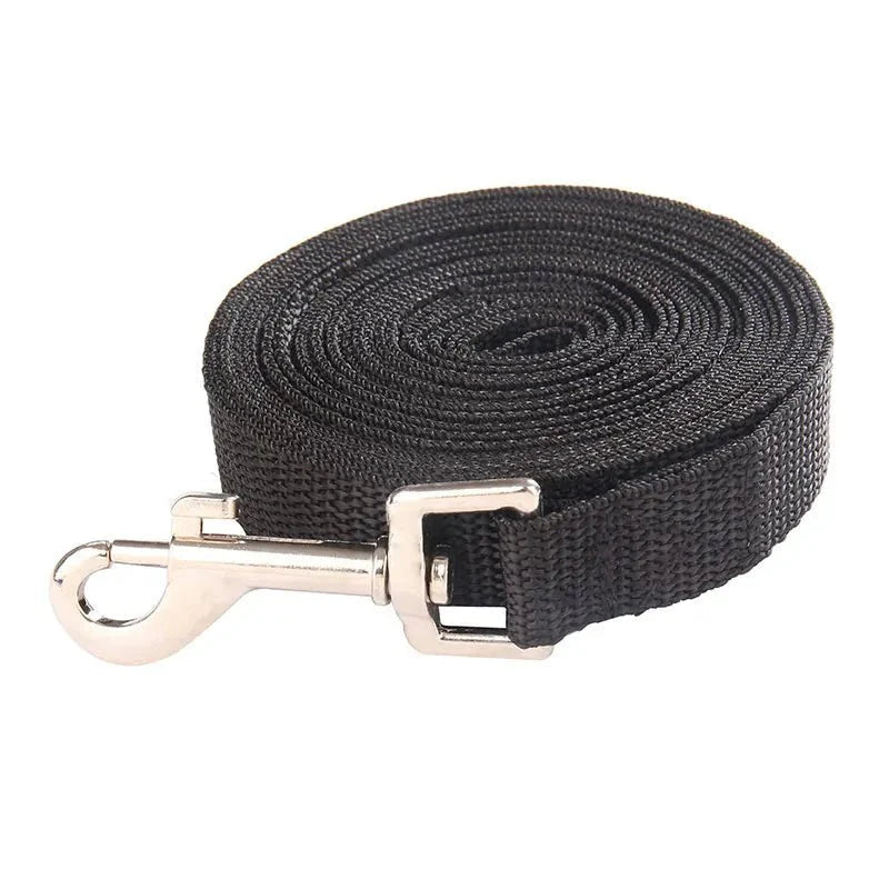 Long Training Leash for Dogs - Pawtique