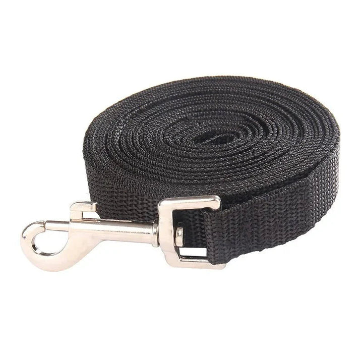 Long Training Leash for Dogs - Pawtique