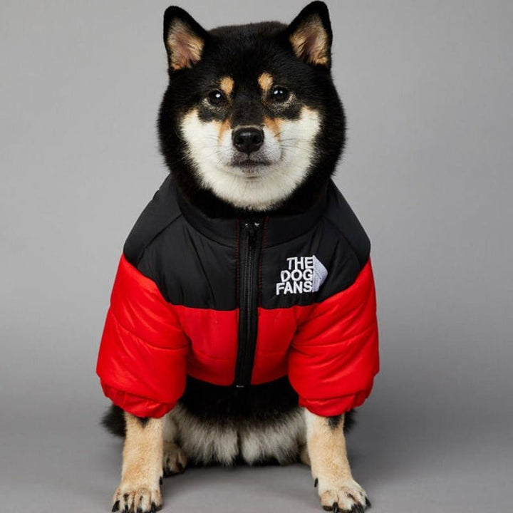 Luxury Designer Dog Coat For Winter &amp; Autumn - Pawtique