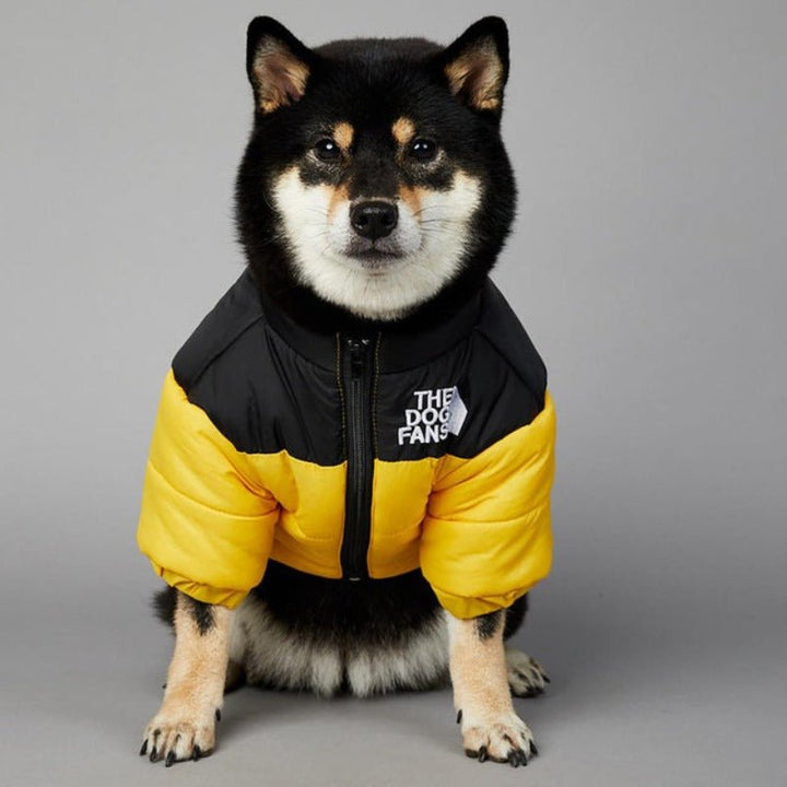 Luxury Designer Dog Coat For Winter &amp; Autumn - Pawtique
