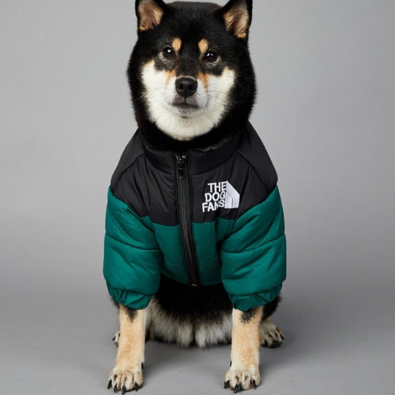 Luxury Designer Dog Coat For Winter & Autumn - Pawtique