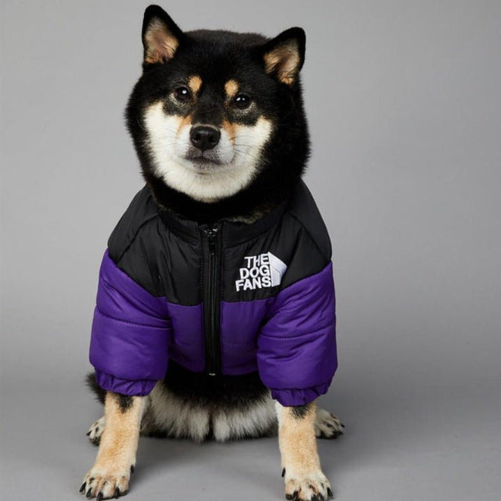 Luxury Designer Dog Coat For Winter &amp; Autumn - Pawtique