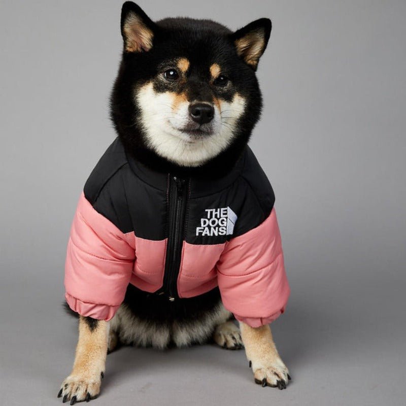 Luxury Designer Dog Coat For Winter &amp; Autumn - Pawtique