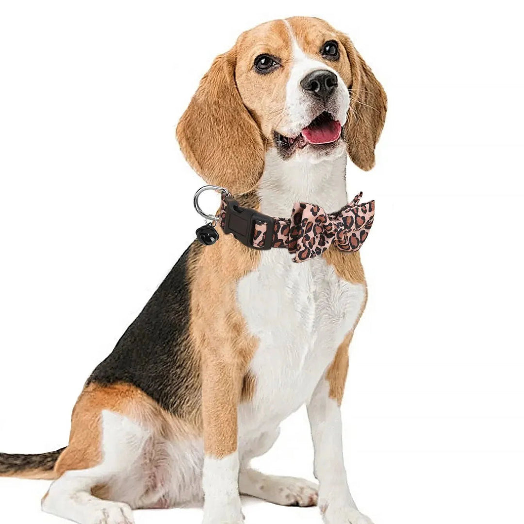 Luxury Leopard Print Collar with Detachable Bow - Pawtique
