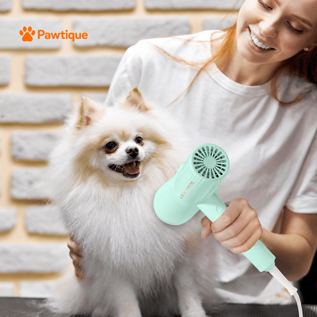 Owner holding the light blue L&amp;W BROS. dryer beside a Pomeranian during grooming