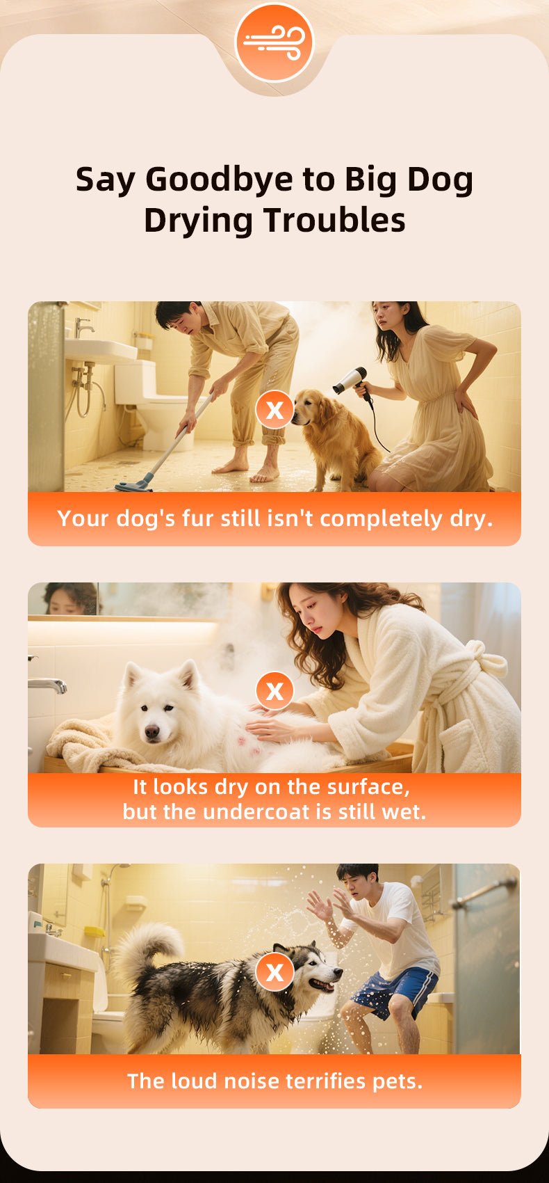 L&amp;W BROS. Pet Dryer: Power Meets Quiet Comfort - Pawtique