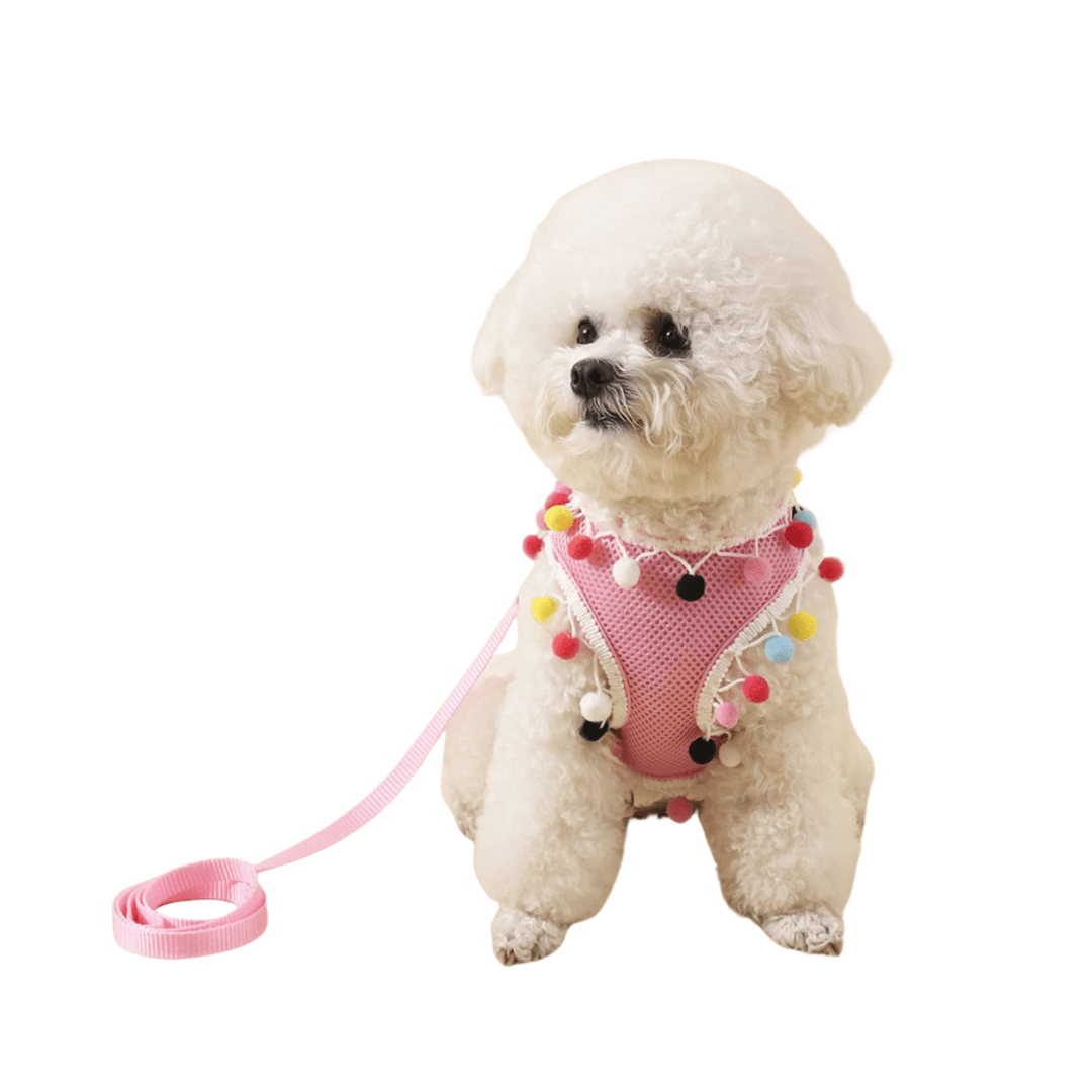 Mesh Small Dog Harness Adjustable Ball Lace Cute Summer - Pawtique