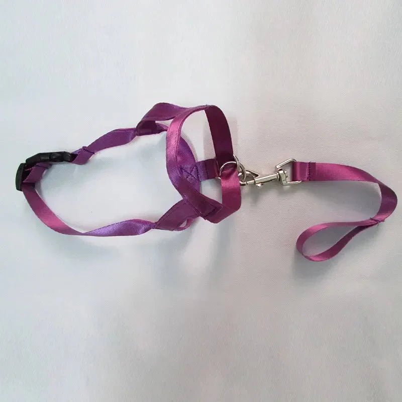 Muzzle for dogs - Pawtique