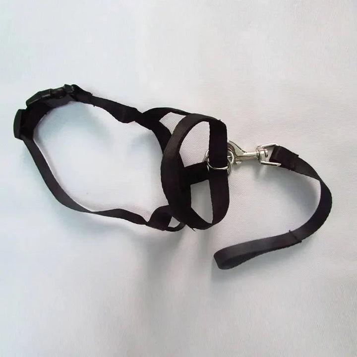 Muzzle for dogs - Pawtique