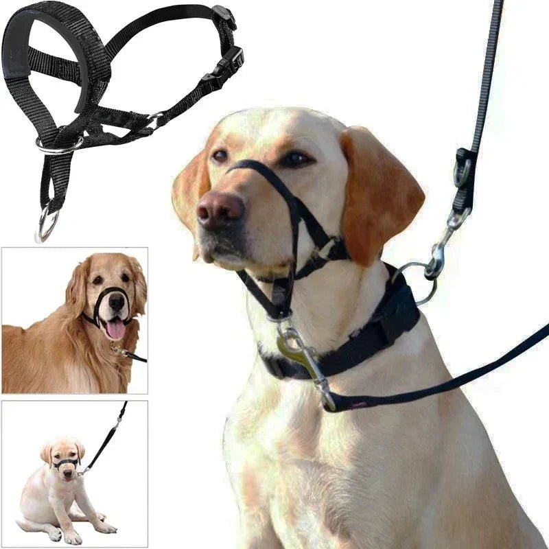 Muzzle for dogs - Pawtique