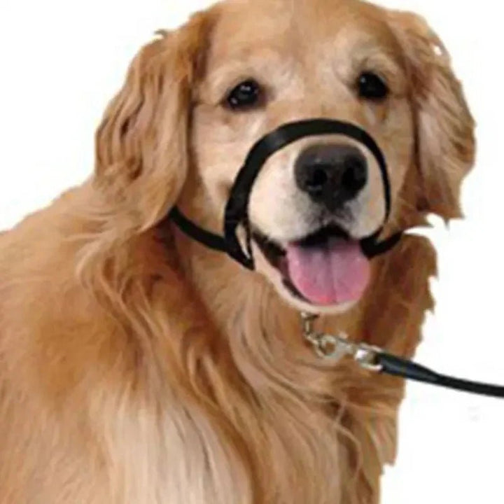 Muzzle for dogs - Pawtique