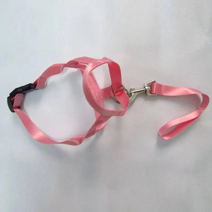 Muzzle for dogs - Pawtique
