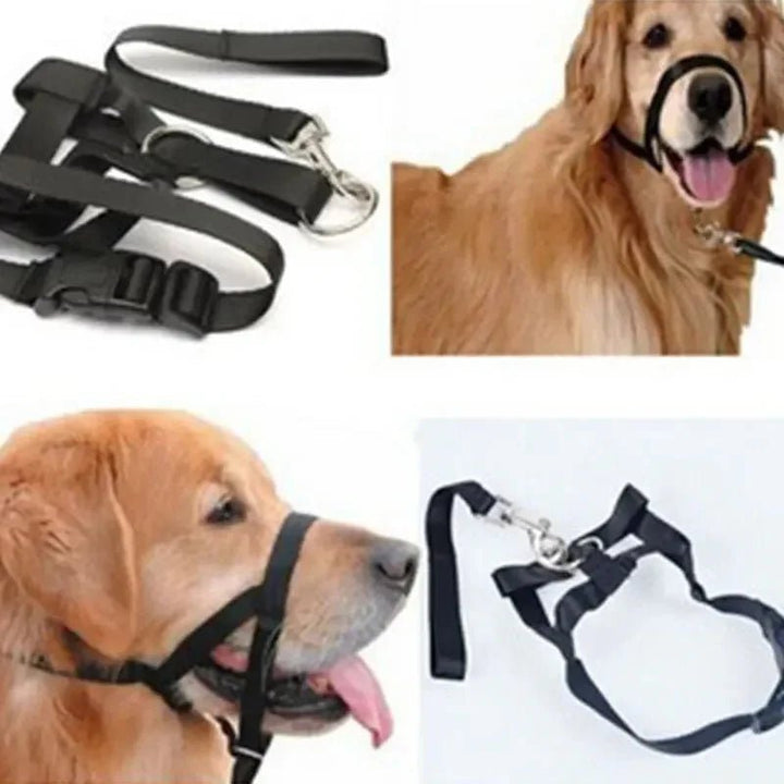 Muzzle for dogs - Pawtique