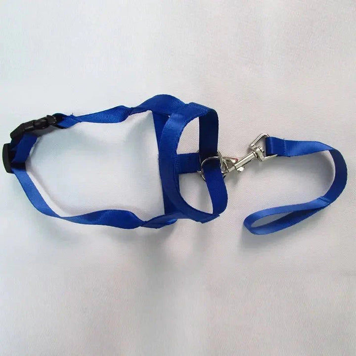 Muzzle for dogs - Pawtique